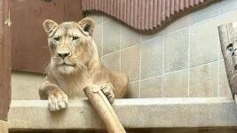 Elsa Zoo Liberec